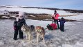 Dog sledding (30)